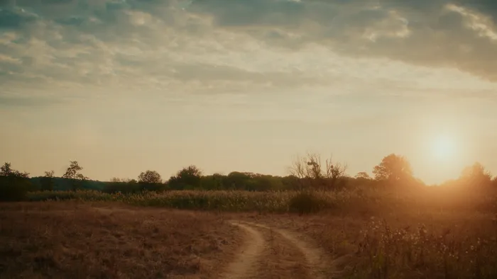 Ukrainian field photo